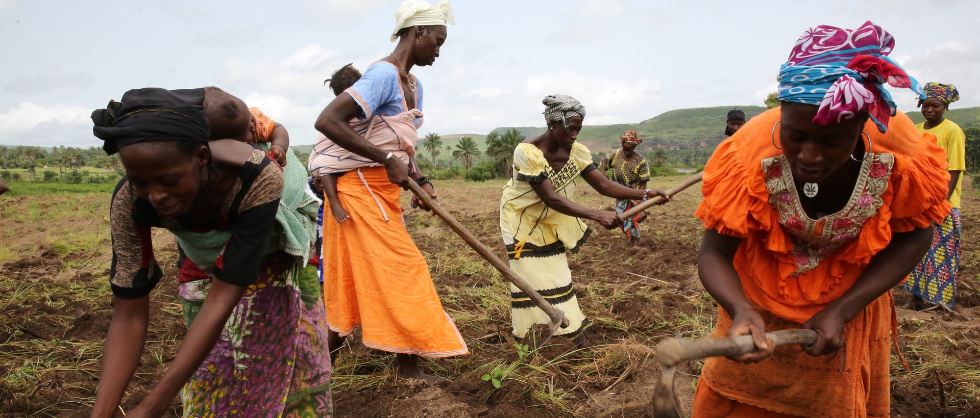 With Trade Aims Guinea Looking To Address Agricultural Potential