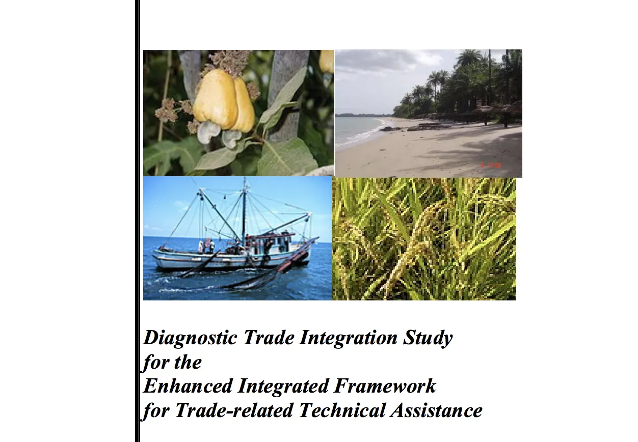 Diversifying from cashews and beyond